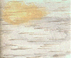 Birch bark